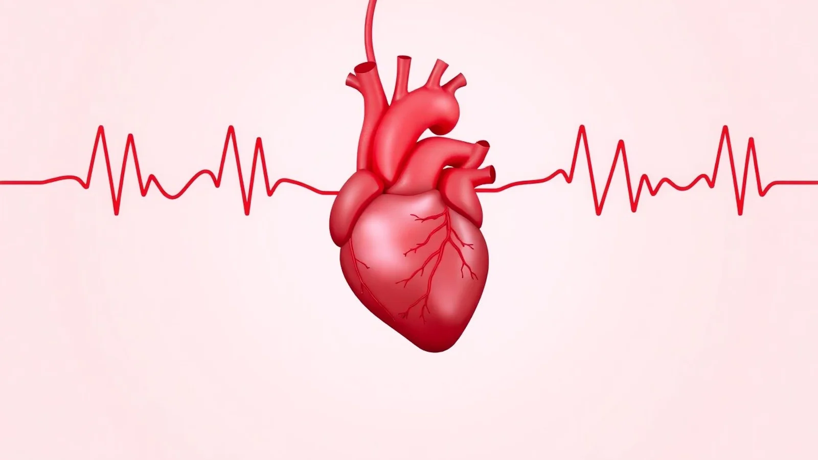 Circulação Sistêmica Pulmonar: Entenda o Percurso