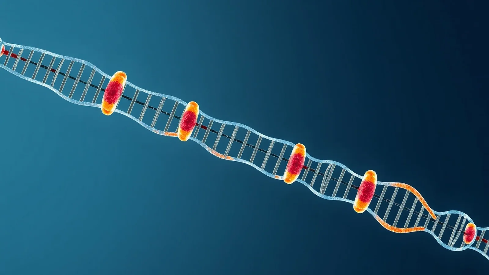 Cromossomo: Estrutura, Função e Hereditariedade