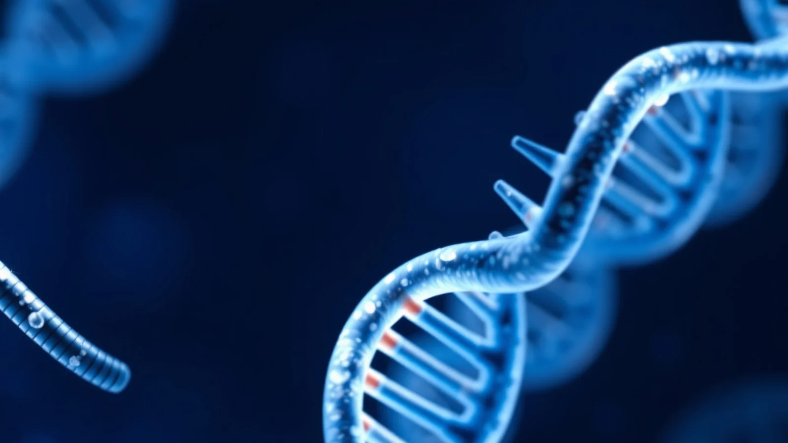 Ácidos Nucleicos: DNA, RNA e Suas Funções