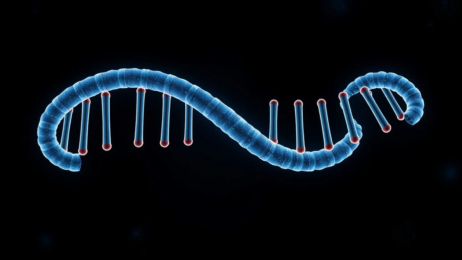 Exercícios Sobre Células Diploides Haploides: Guia