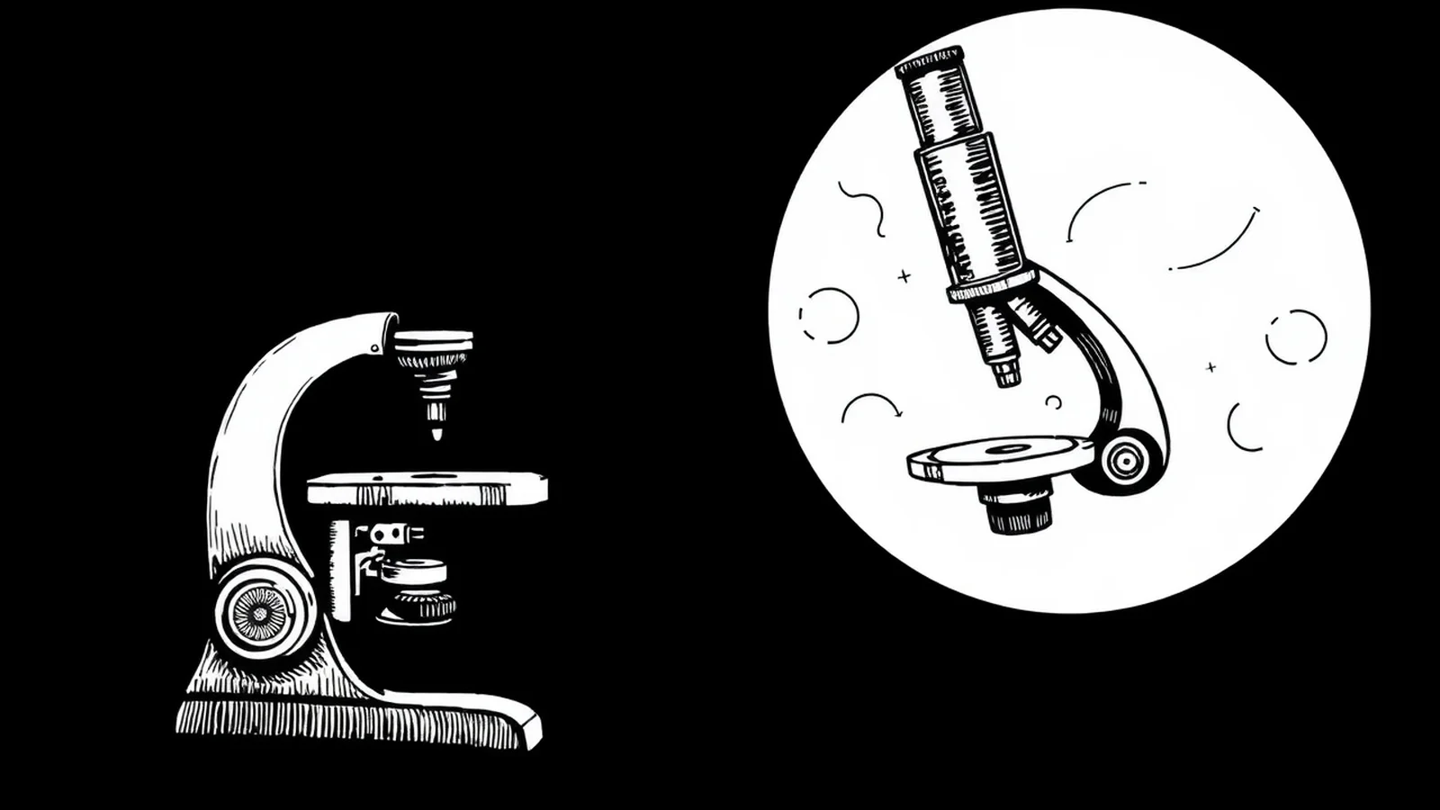 Anton Leeuwenhoek: Pai da Microbiologia