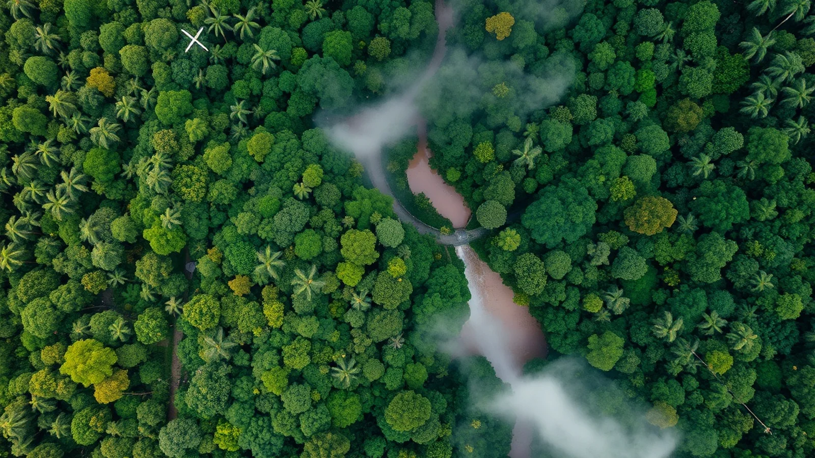 clima equatorial amazonia