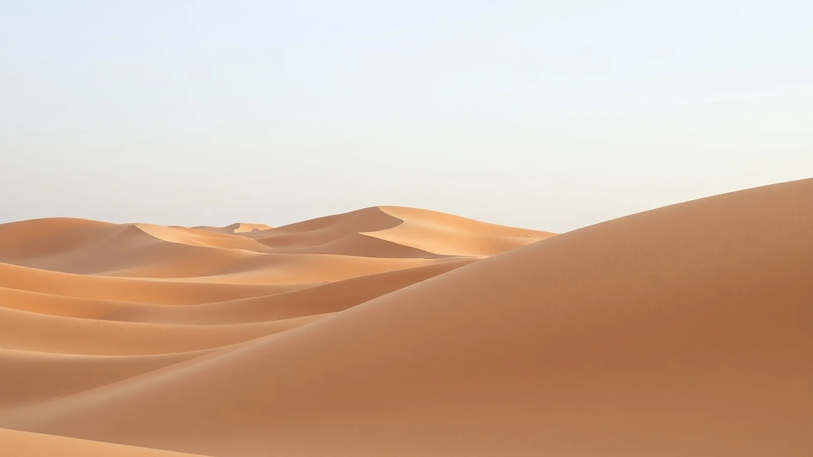 deserto do saara na argelia