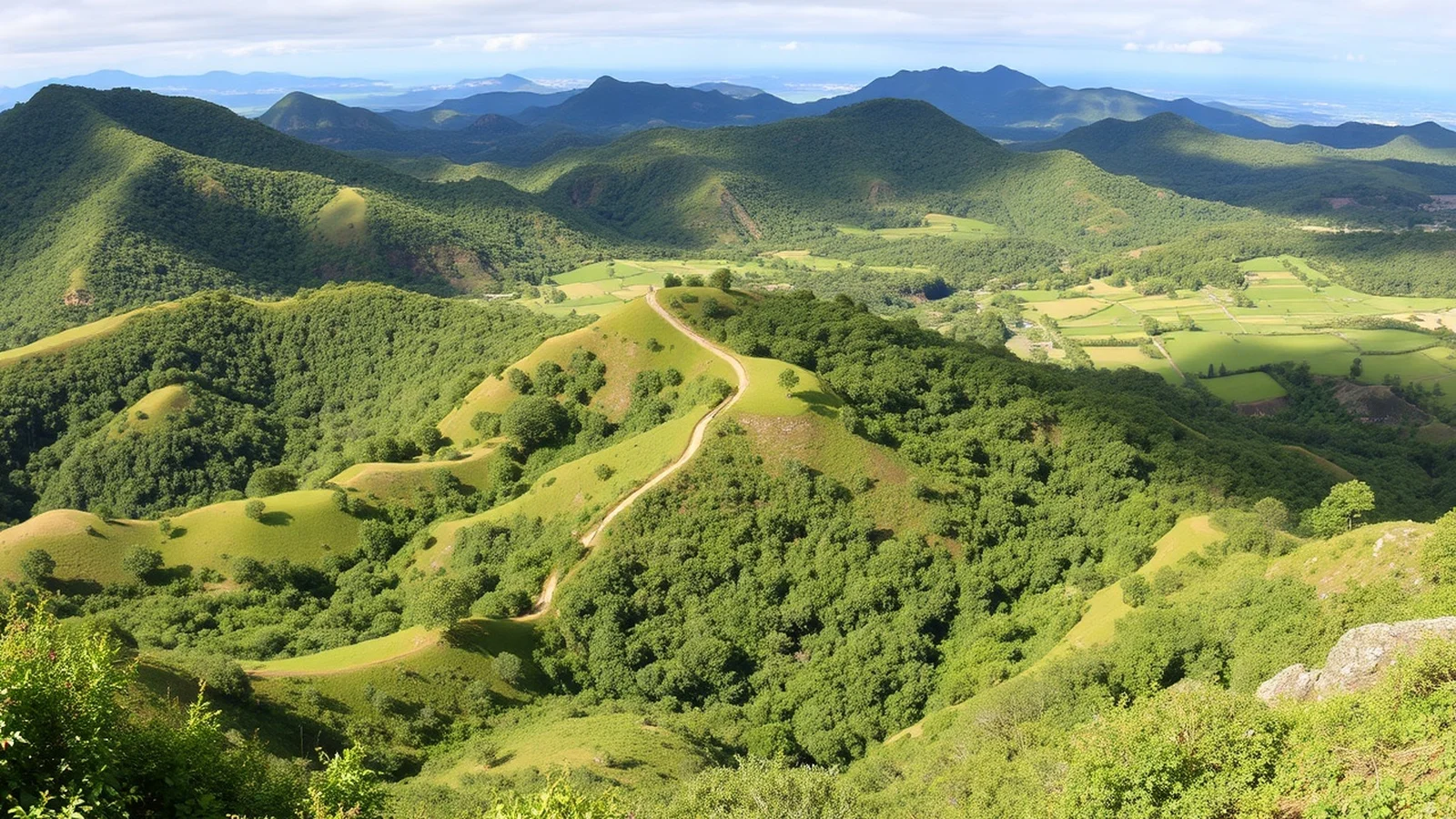 Agreste: Características, Clima e Economia Regional