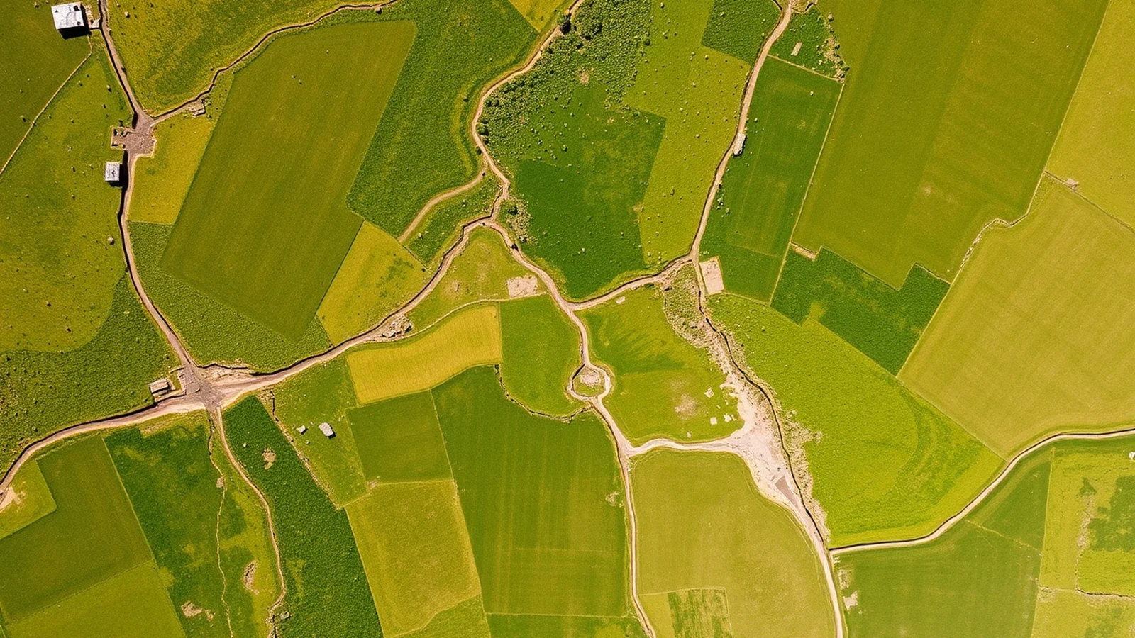 Rio Grande Sul: Geografia, Cultura e Economia