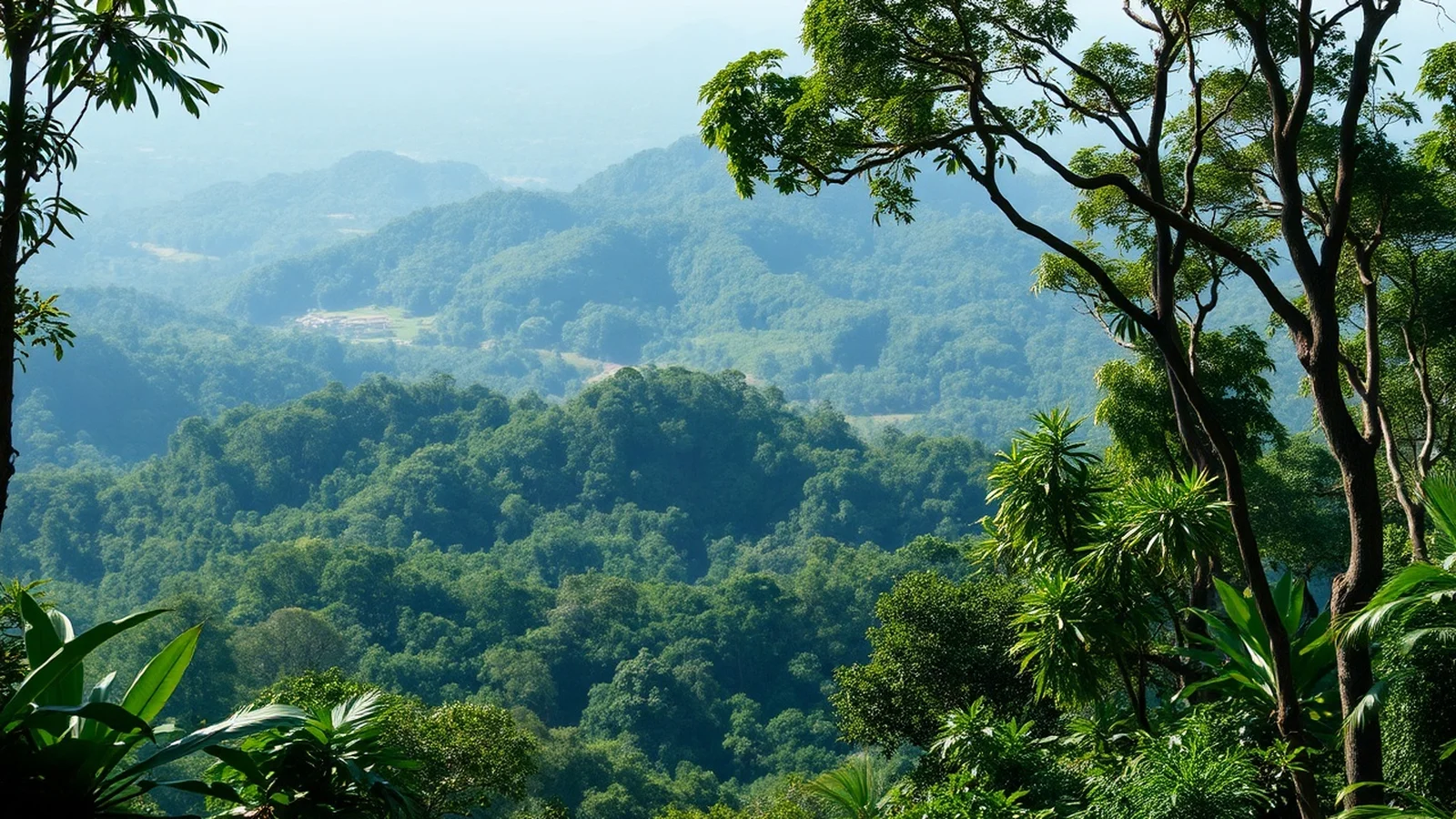 Tema Importância Preservação Meio Ambiente: Entenda