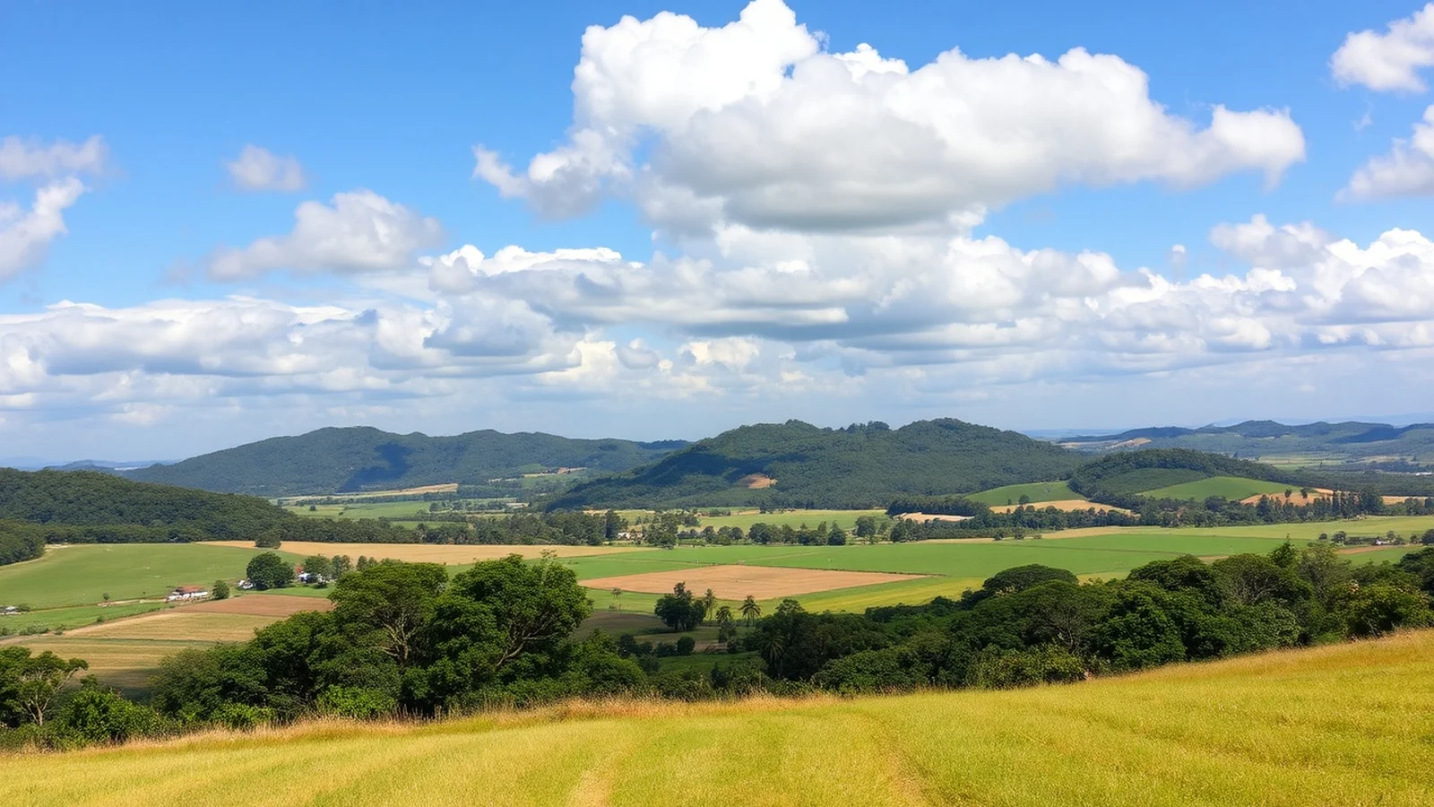 A Região Sul: Geografia, Economia e Cultura